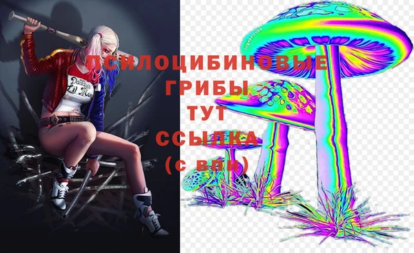 спайс Алексин