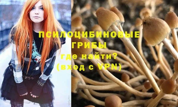 спайс Алексин