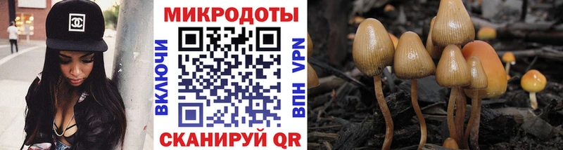 Галлюциногенные грибы мухоморы  Новозыбков 