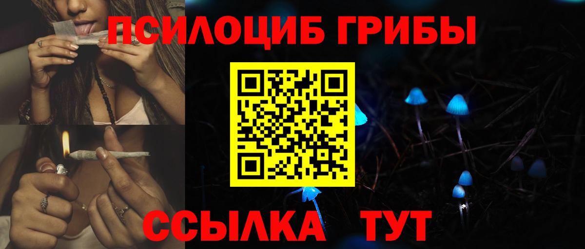 Новозыбков  Псилоцибиновые грибы мухоморы  Вход с VPN 