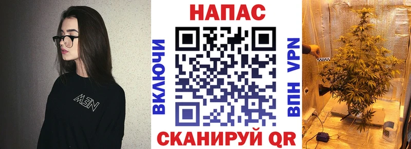 Шишки марихуана THC 21%  MEGA зеркало  Новозыбков 