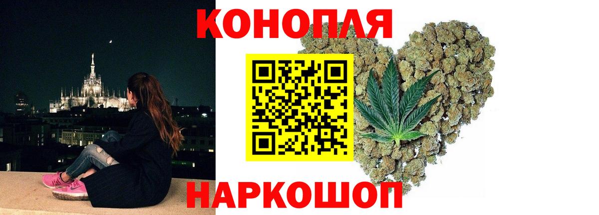 Бошки марихуана Bruce Banner  Вход с VPN  Марихуана White Widow  Конопля конопля  Новозыбков 